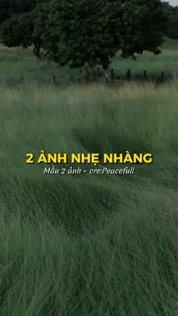 [2] ảnh cuốn 📍