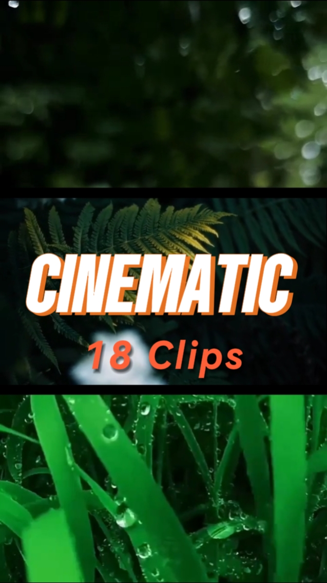 Cinématique 18 Clips