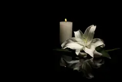 Lola’s tribute video