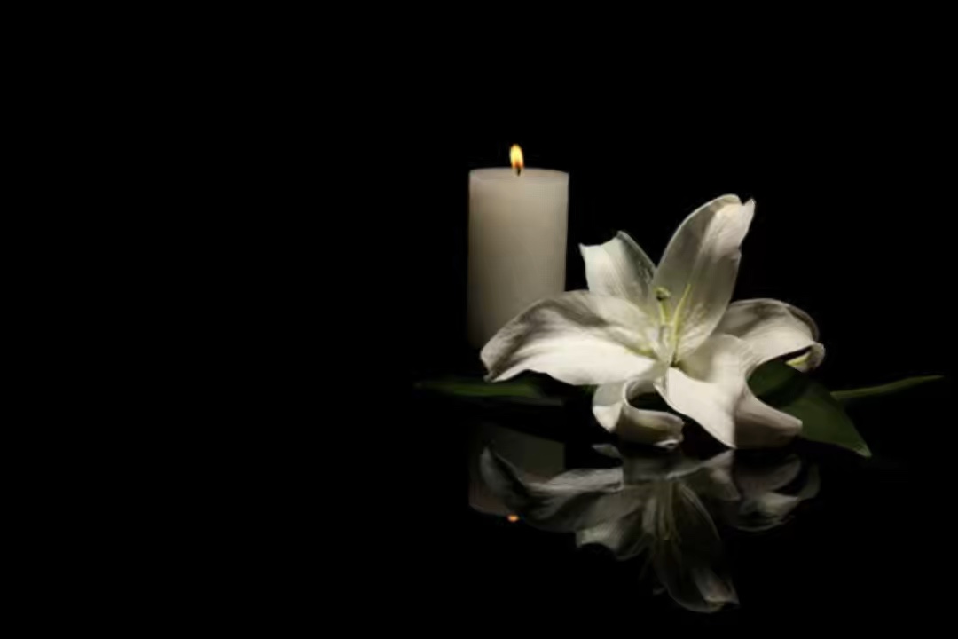 Video homenaje a Lola