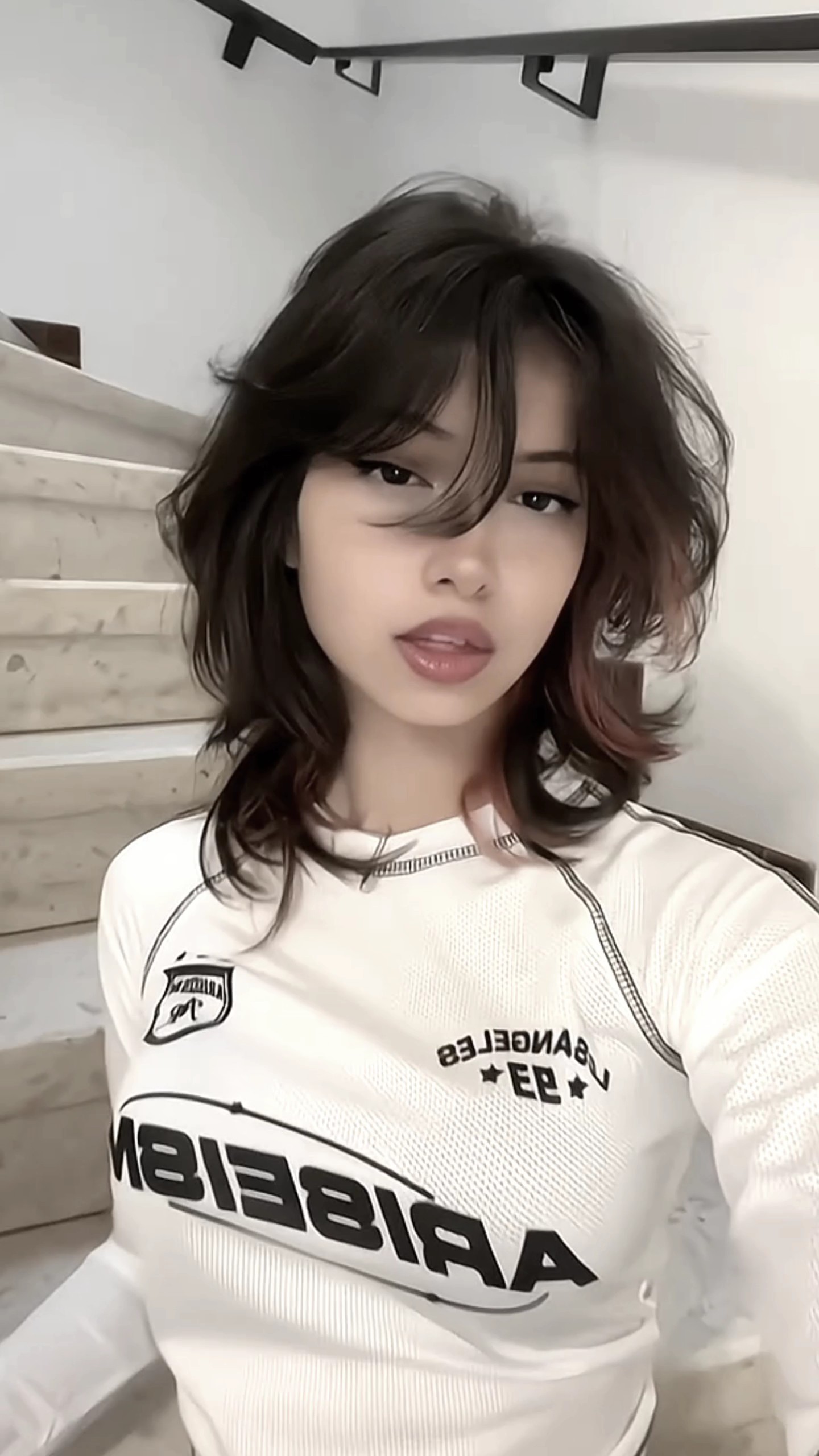 renarde x luxueux 