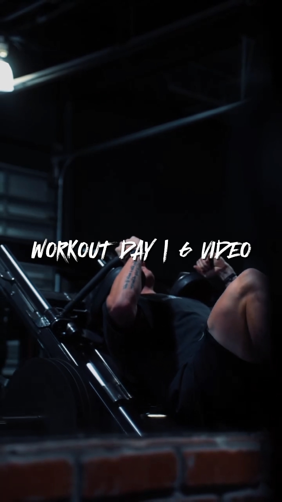 Workout day | 6