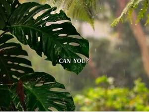 Arrastar caminho editar 