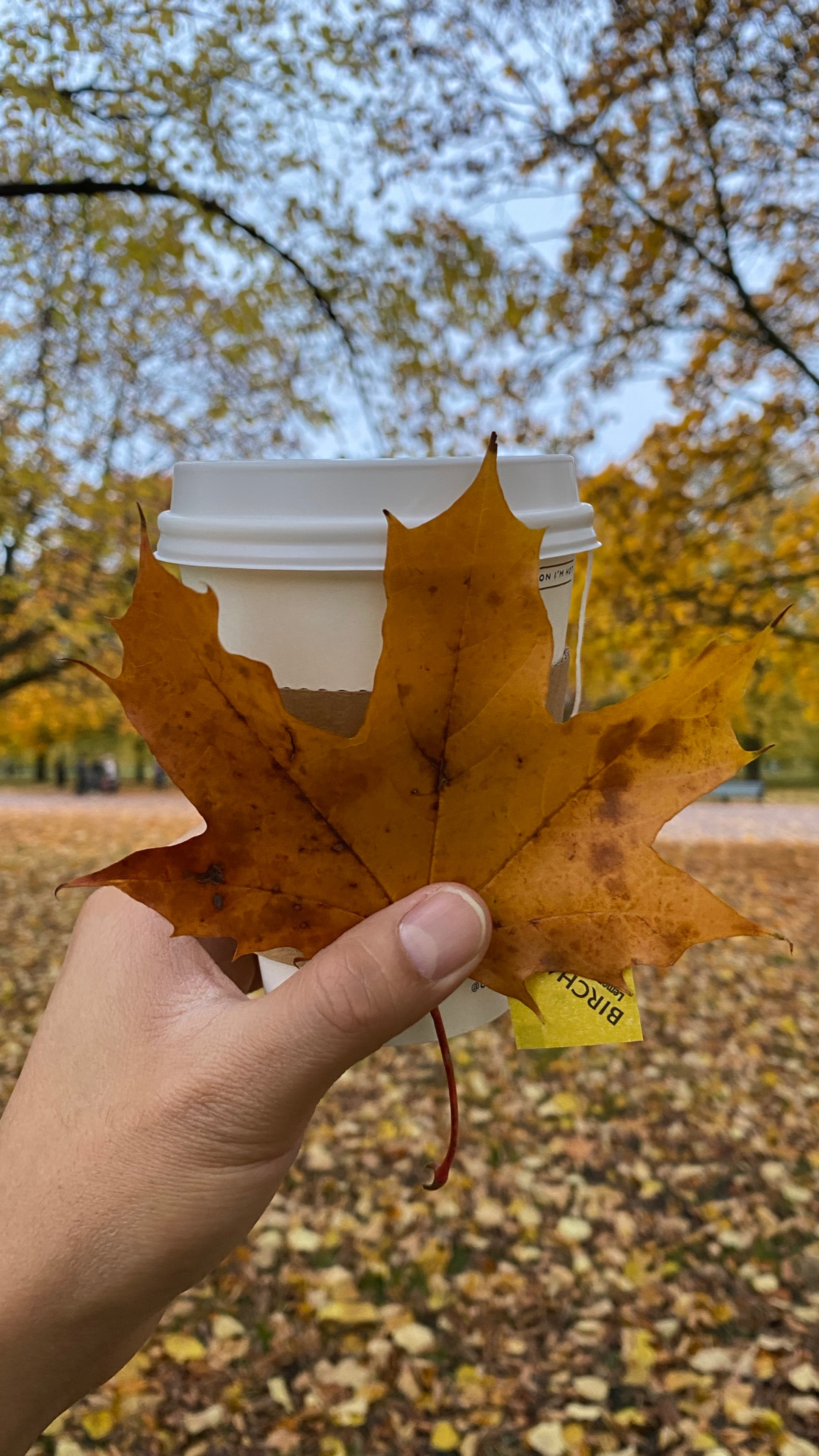 L'automne à Londres