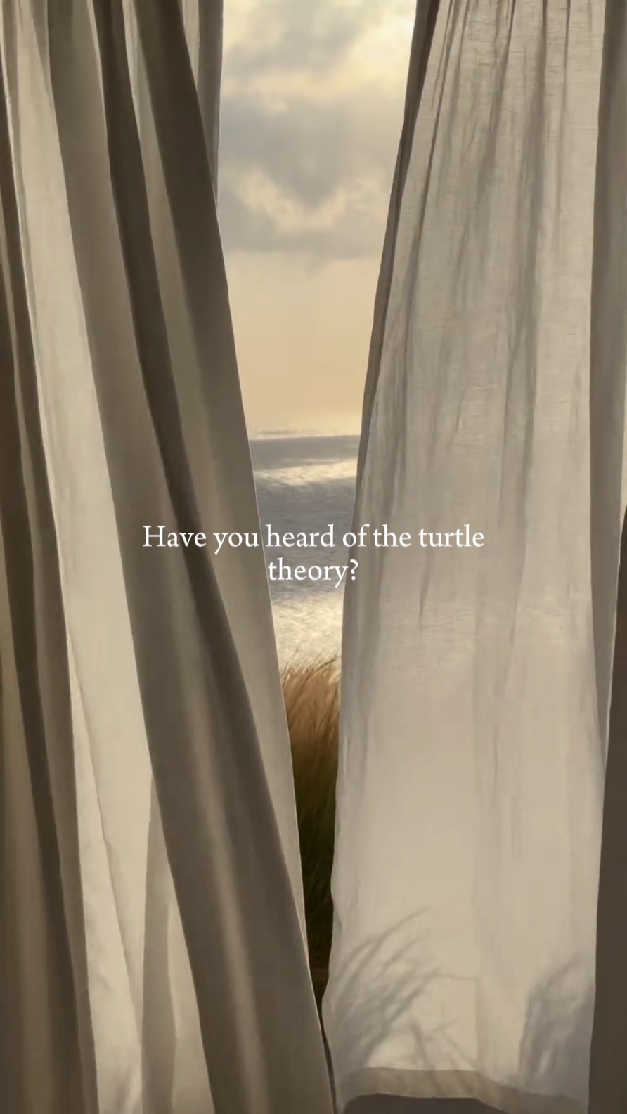 la théorie de la tortue