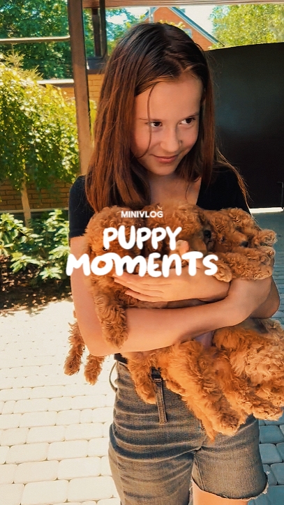 Momentos de cachorro