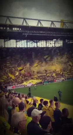 Stadion
