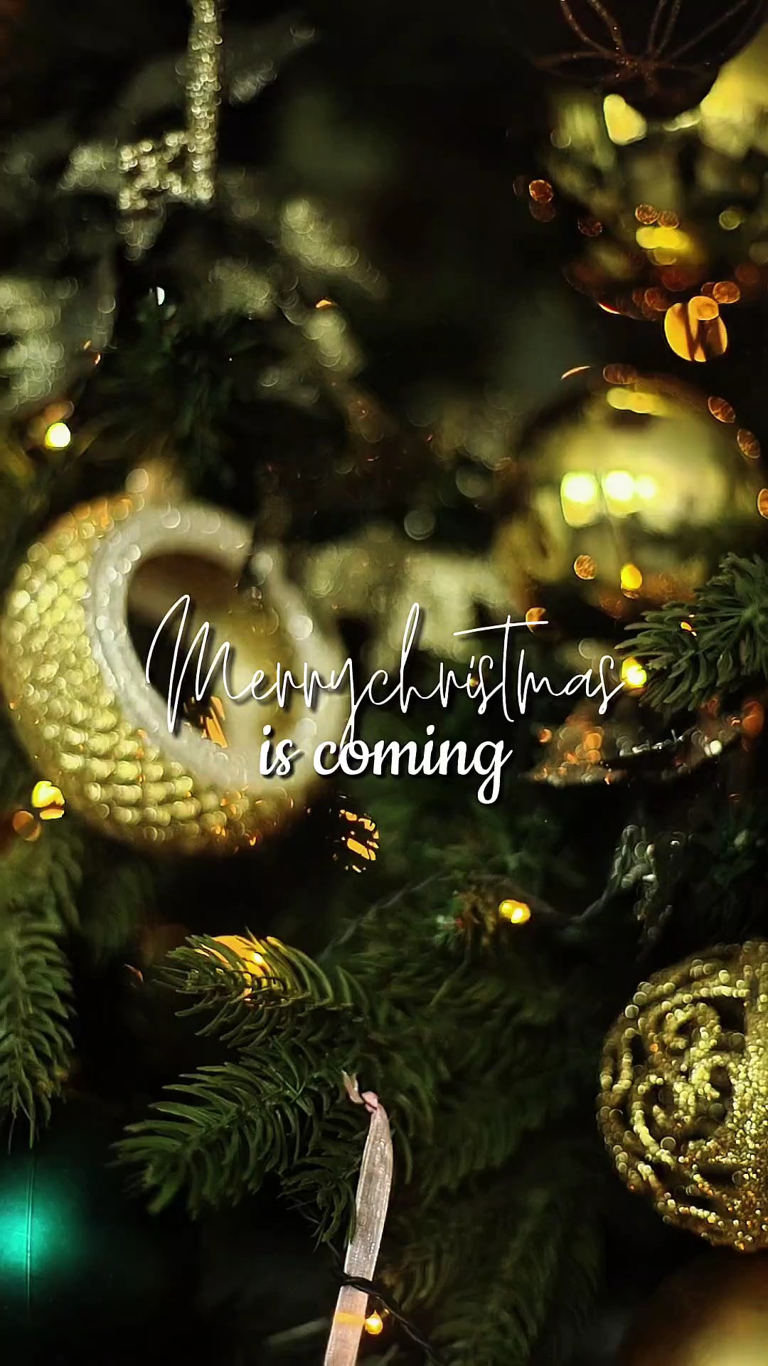 Feliz Navidad