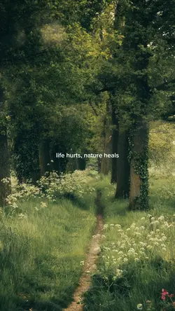 life hurts nature he