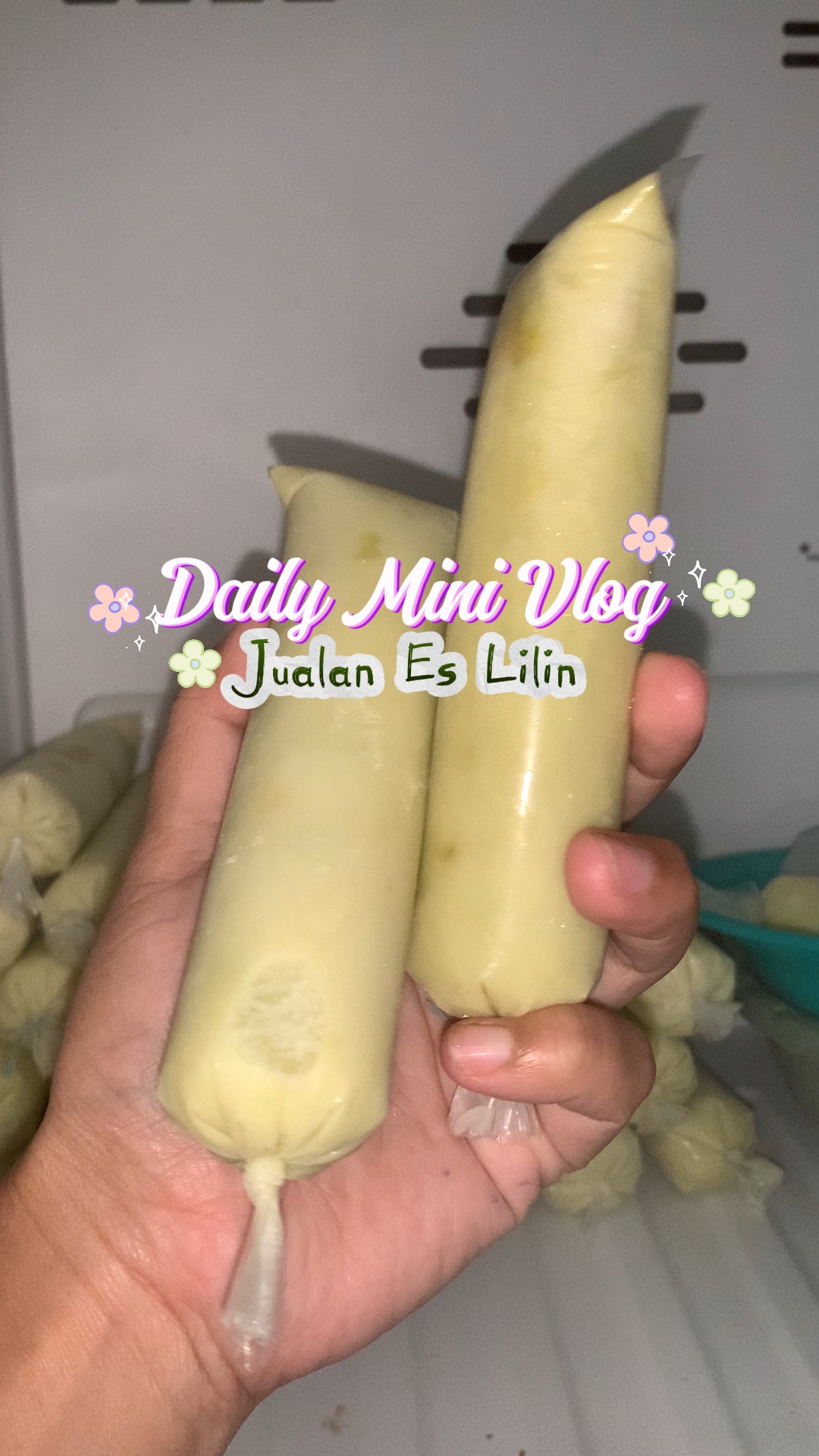 Daily Mini Vlog✨