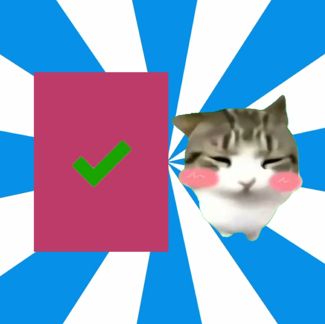 DAMDAM CAT