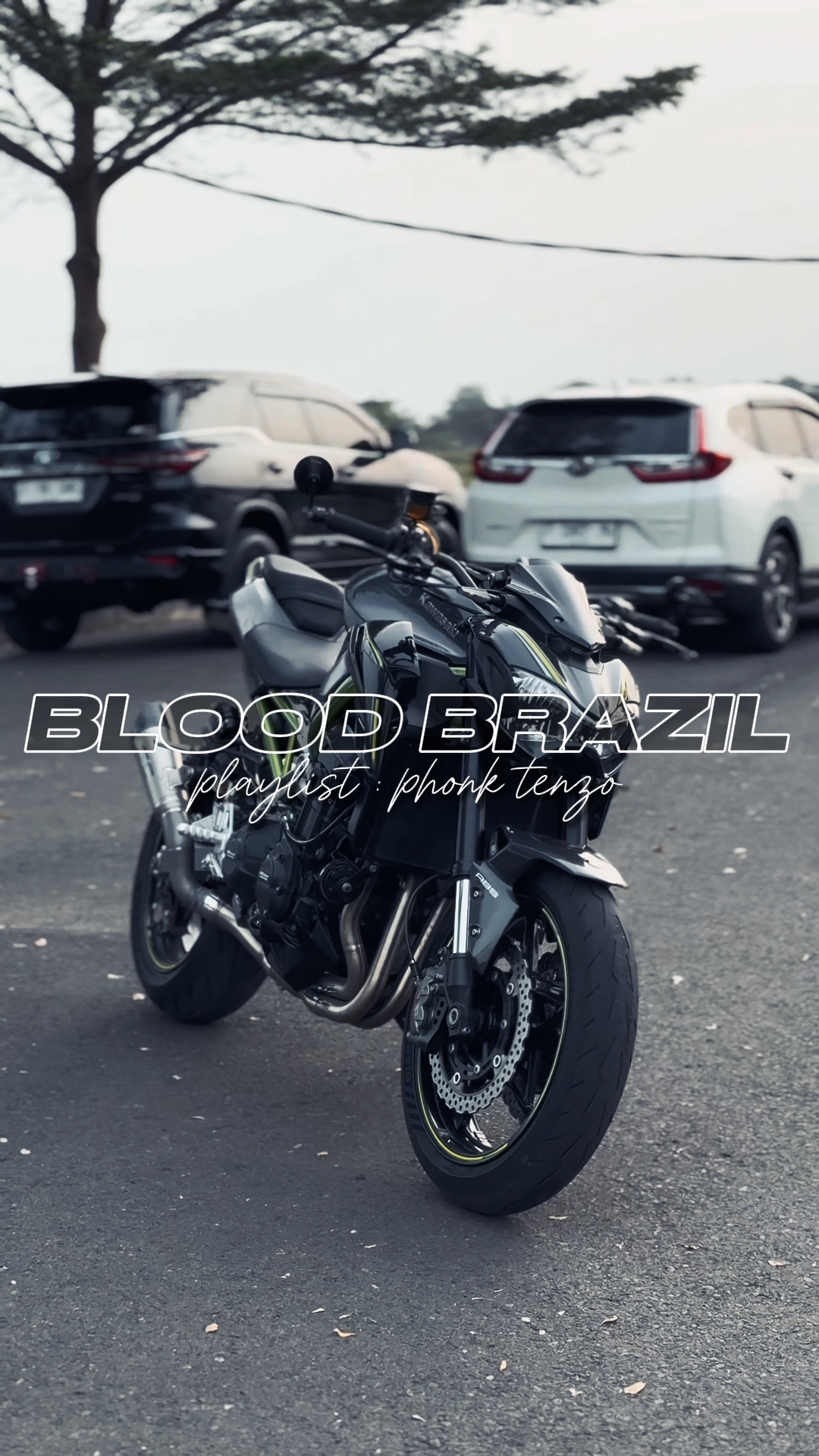 blood brazil phonk