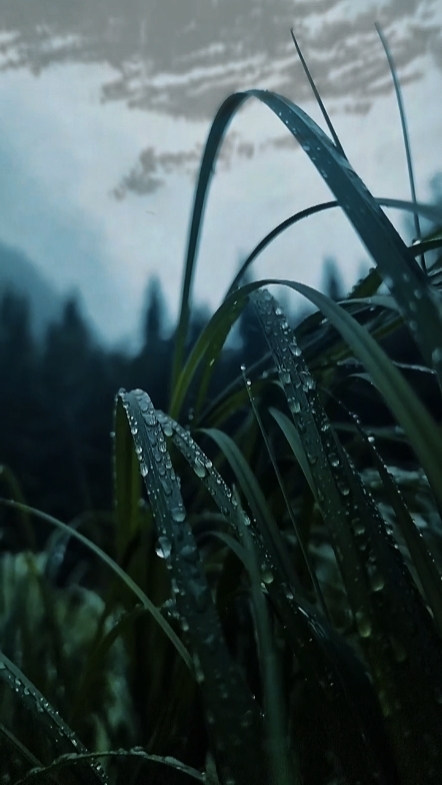 Naturaleza Cinemática