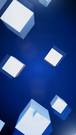 cube portrait ²⁹