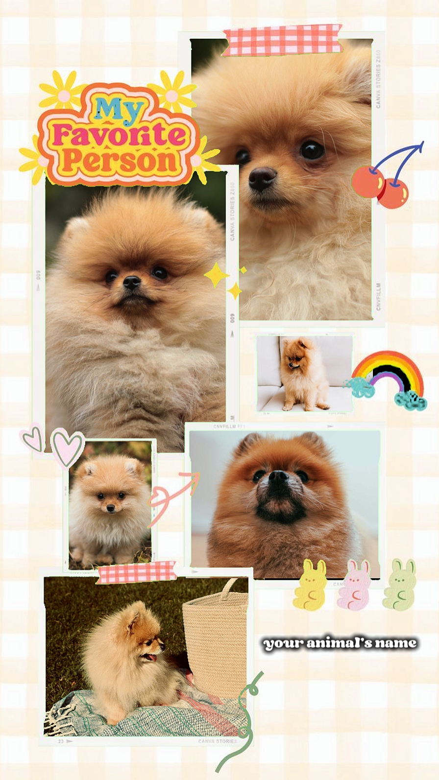 Pets story