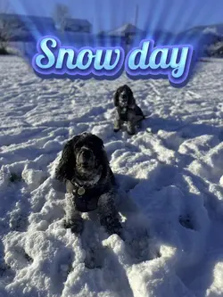 Snow day