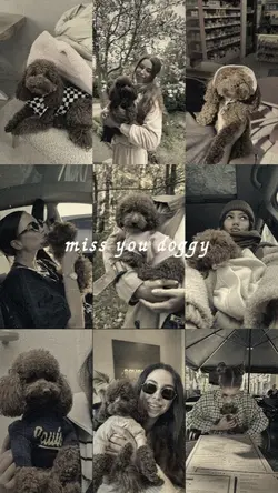 miss you doggy