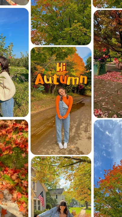 Salut l'automne