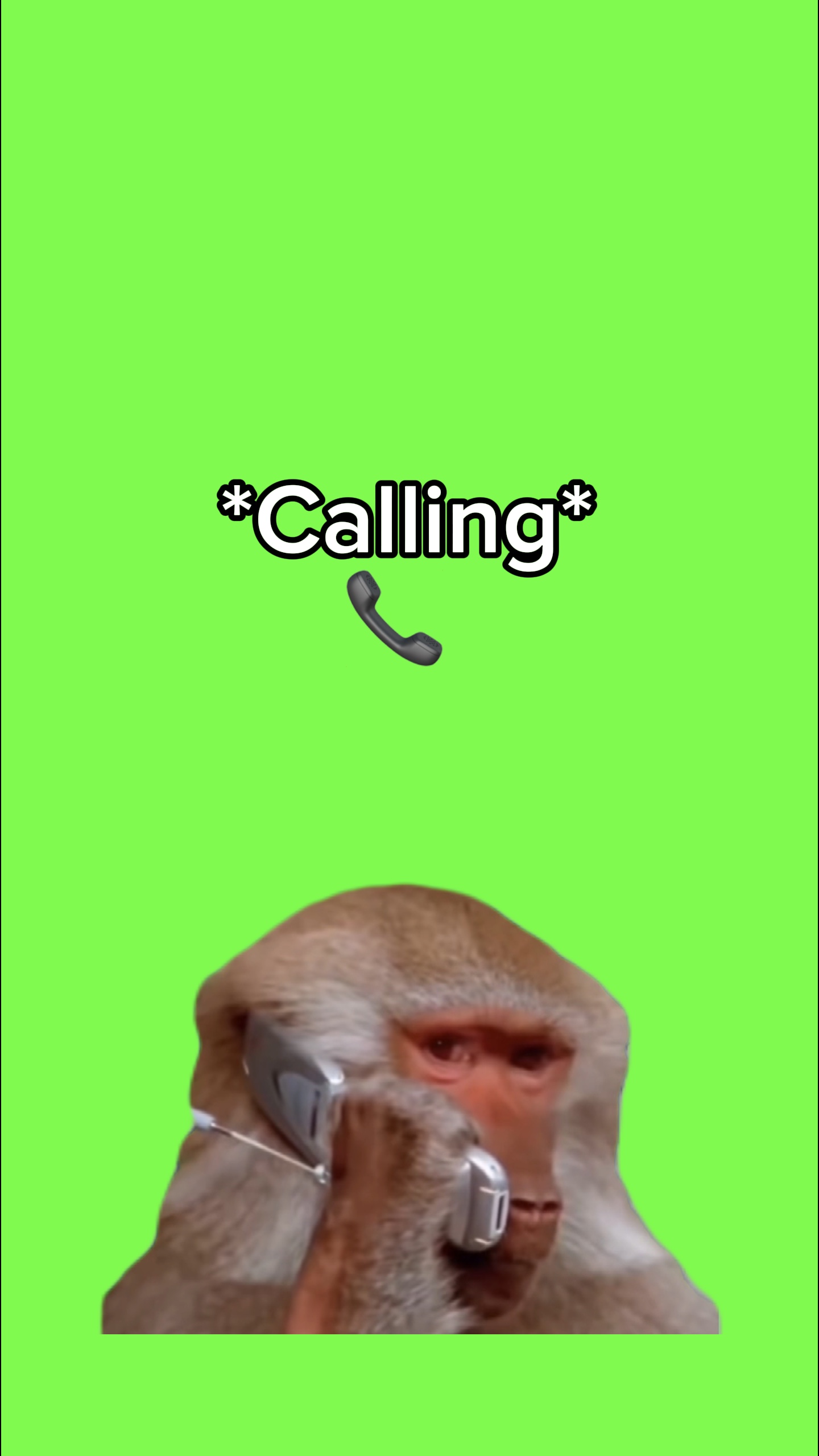 * Arama * 📞 