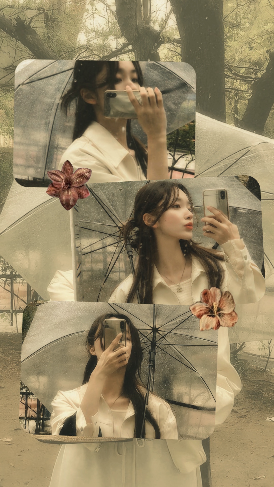 3 collage photo 