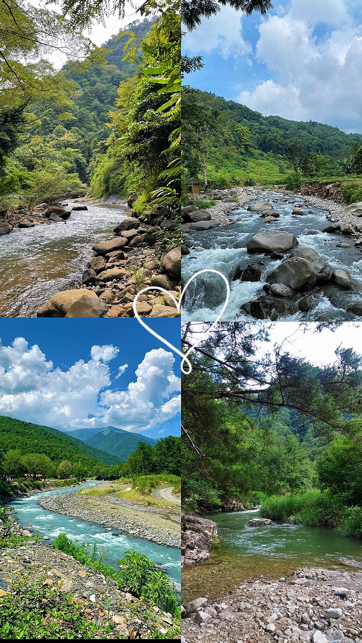 Nature 