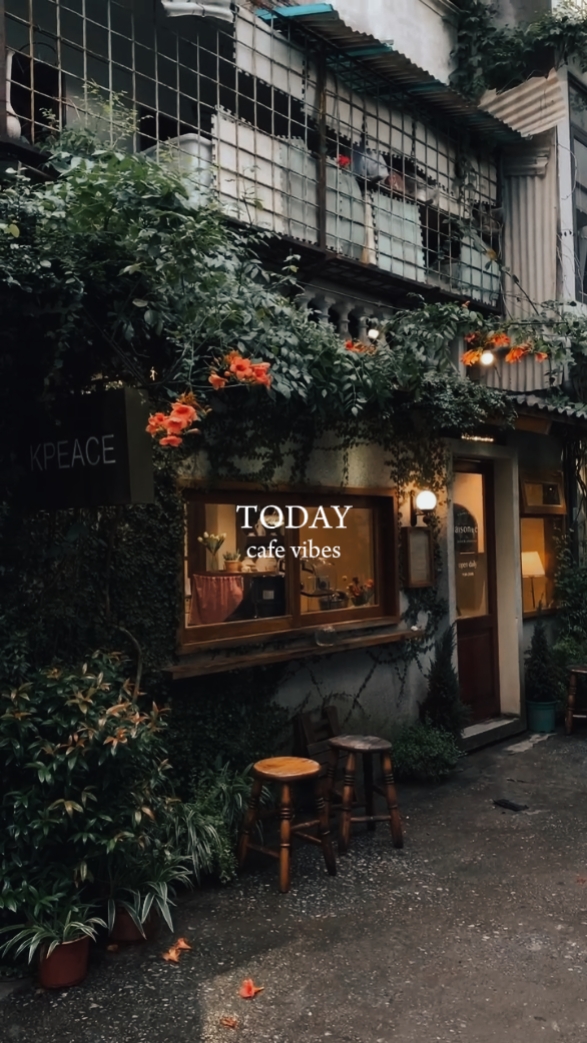 today cafe vibes 