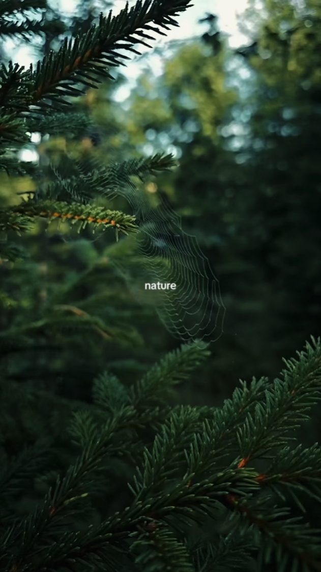 Natureza