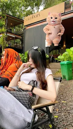 kucing joget lucu