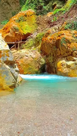 Peace in Nature |