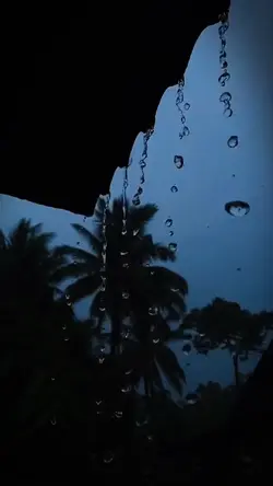 Aesthetic Rain