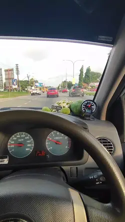 puncak kasih 