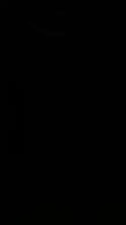 Wellerman Lyrics