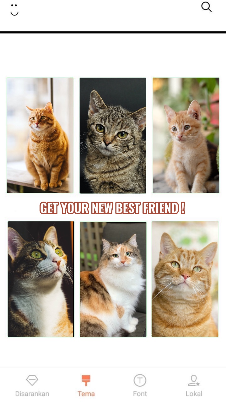 Affichage de produits pour animaux de compagnie Tâches légères et faciles et ouvertes Style TikTok