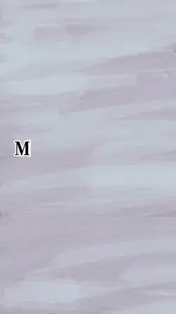 OPENING VIDEO