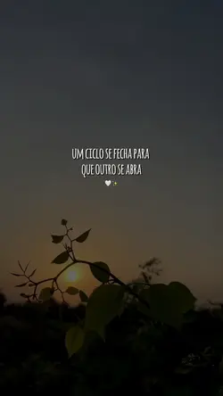 ciclos se fecham