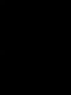 SEPTEMBER