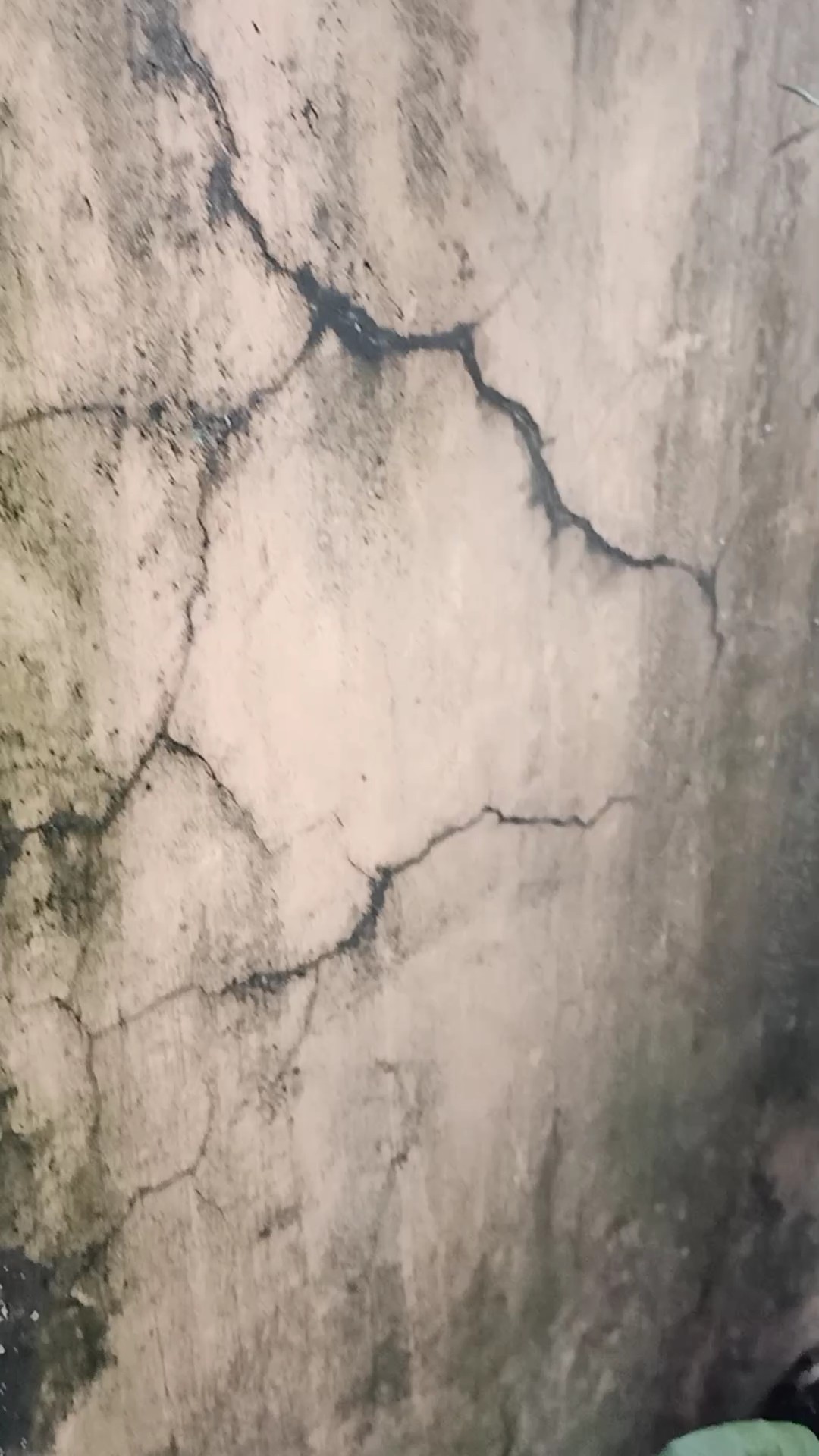 Slowmo / Filtre
