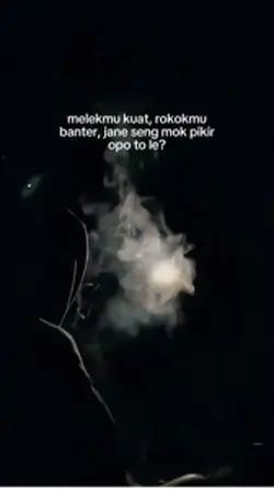 seng mok pikir opo?