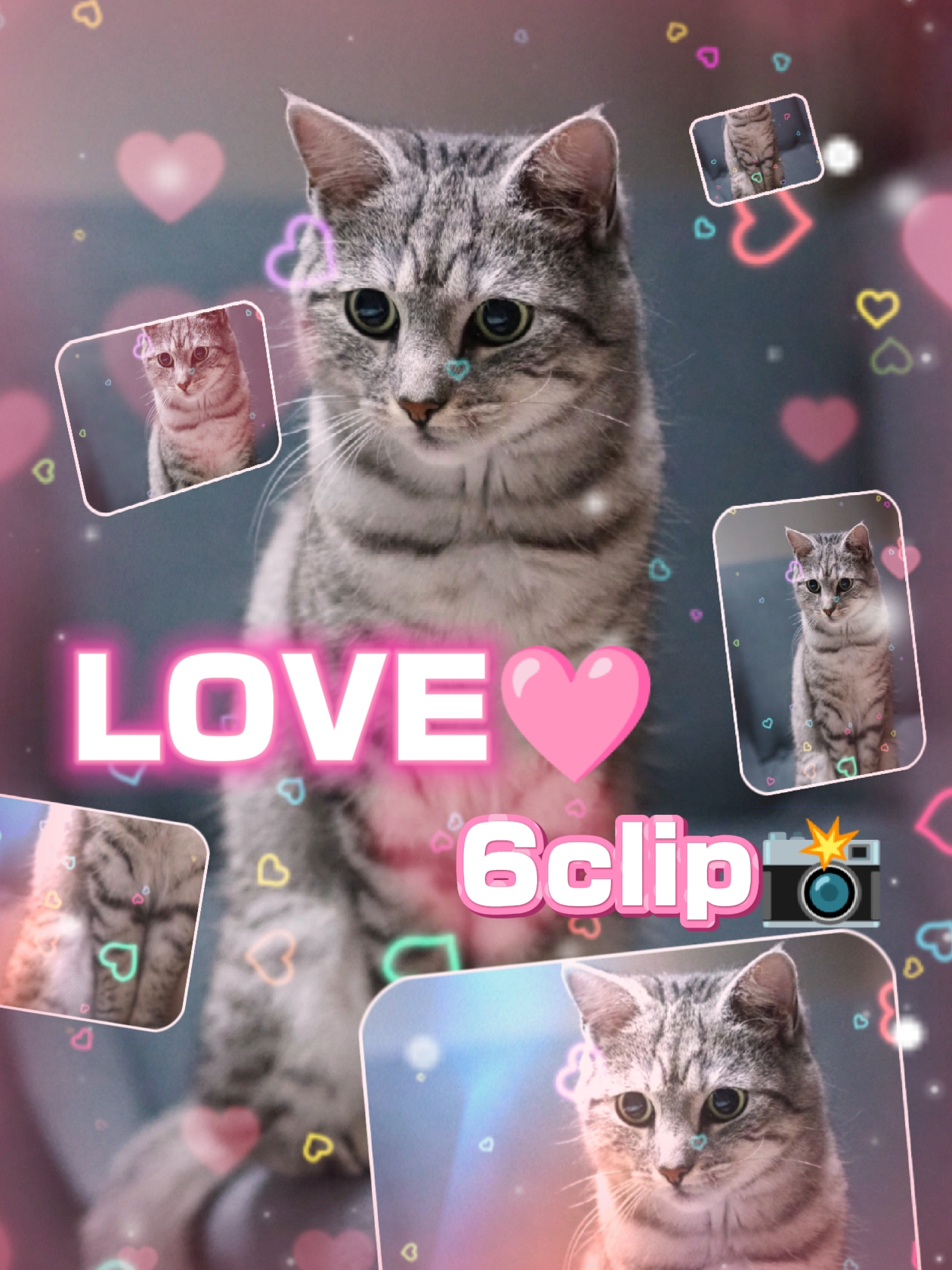 LOVE/6clip