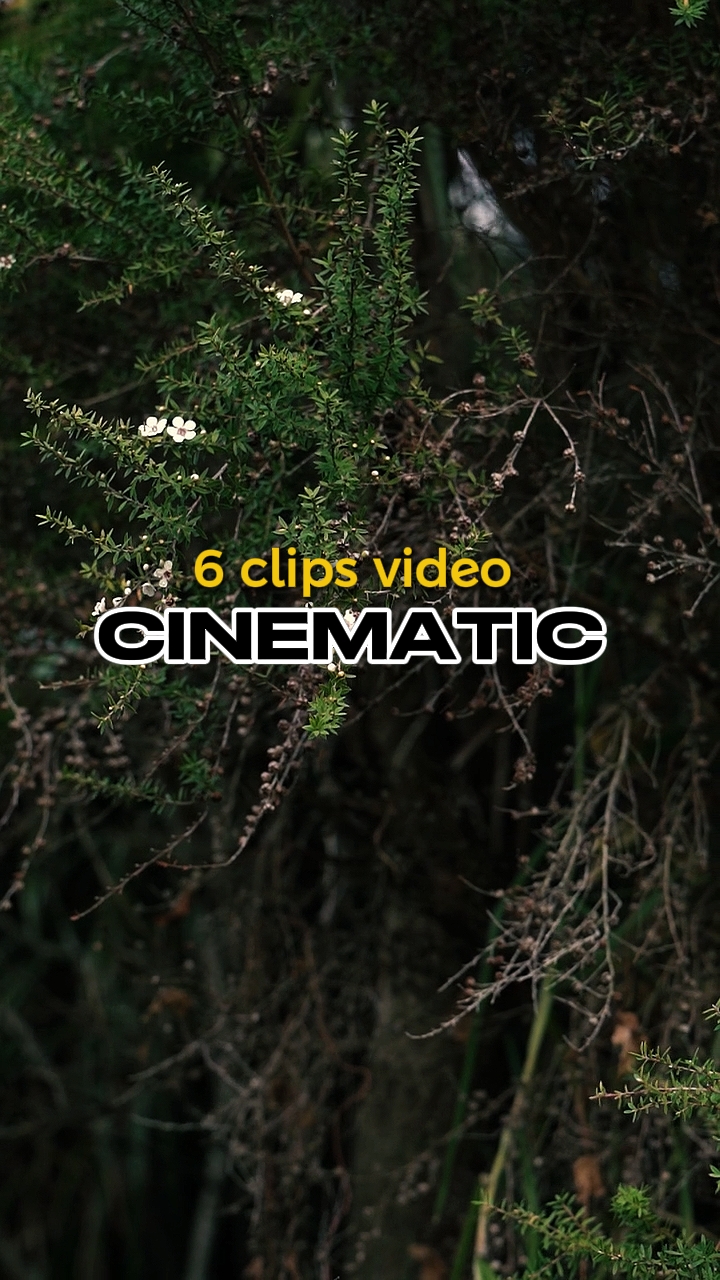 6 video Cinematic 