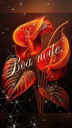 Boa noite