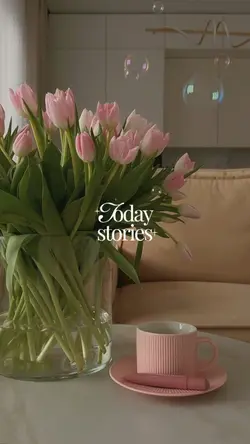 Today stories