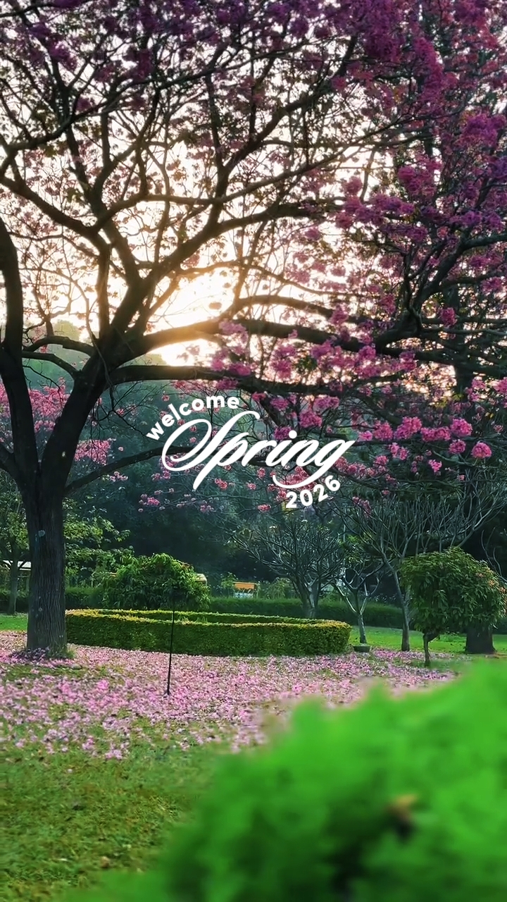 Bem-vinda primavera 2026
