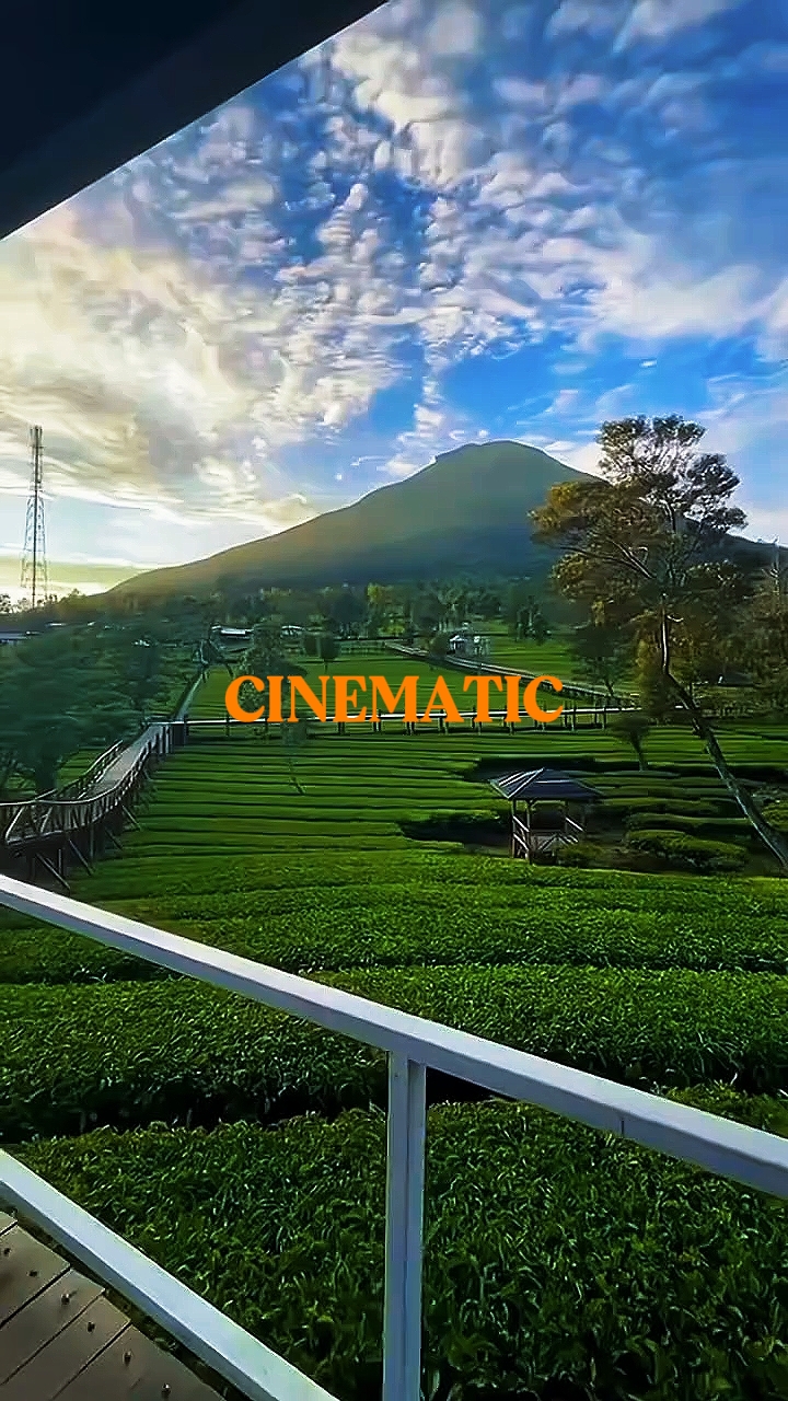 CINEMATIC