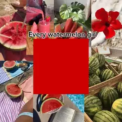 🍉🥭🤝🏼