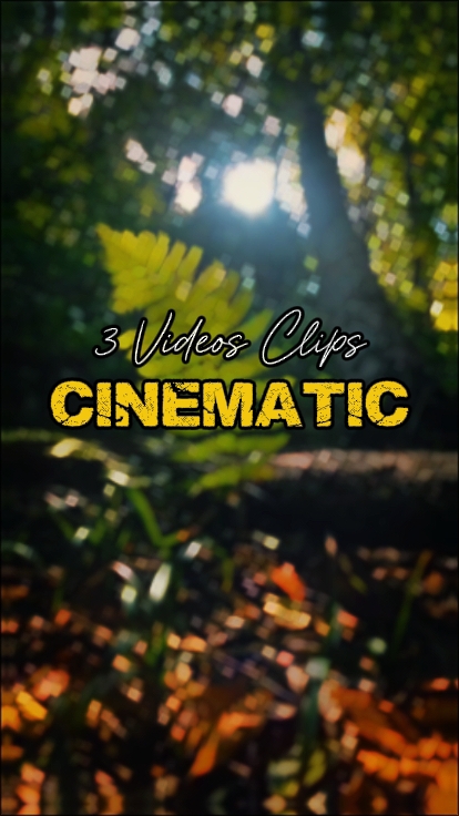 3 Videos Clips