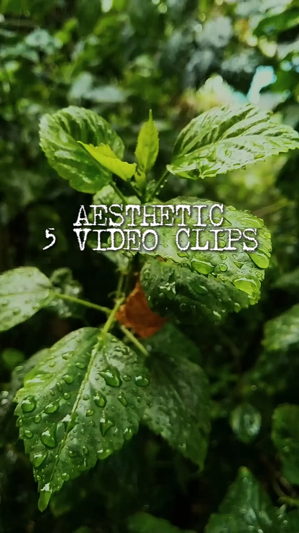 5 vidéos HD