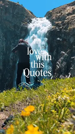 Daily Quotes