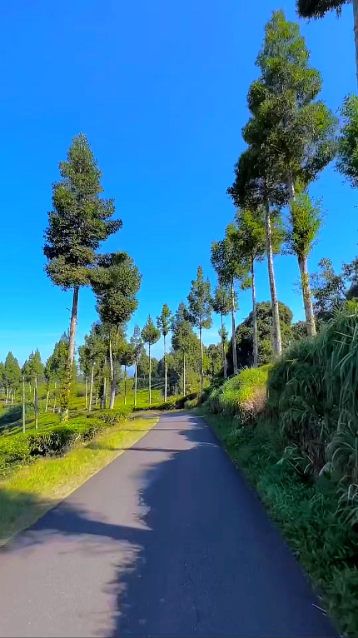 3 klip video hd