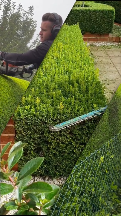 Berkebun